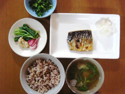 y071116.JPG