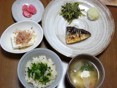 y071117.JPG
