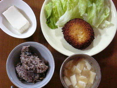 Y071211.JPG