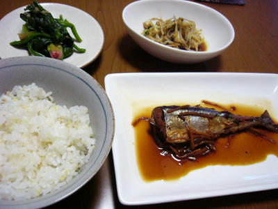 y080305.JPG
