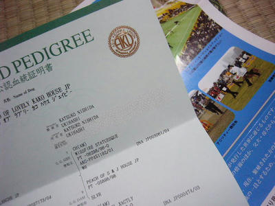 d0904172.JPG