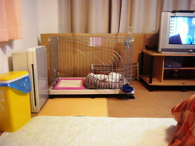 d0910171.JPG