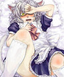 nekorin10.jpg