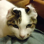 f95fc04d.jpeg