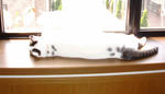 DSCF1378.jpg