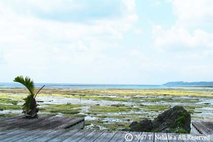 亜門邸から見える風景