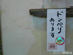 ドンペリあります