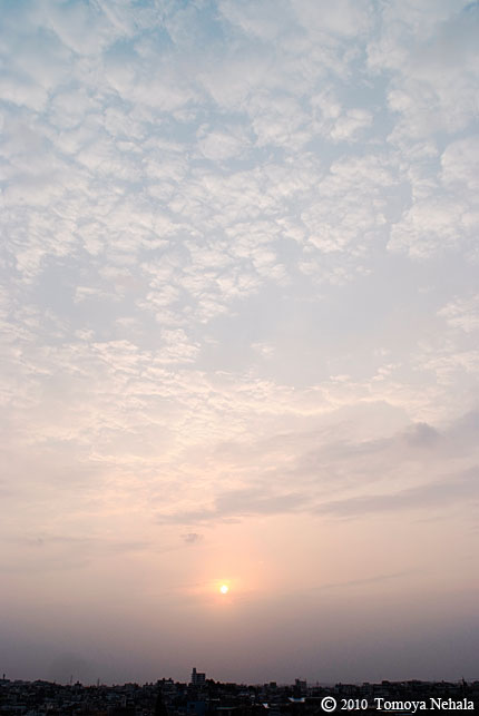 Morning glow 3.26