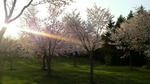 2009050417230000.jpg