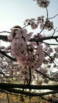 2009050417230001.jpg