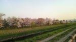 2009050417550000.jpg