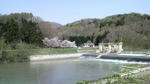 2009050908470000.jpg