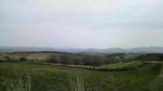 2009050911020001.jpg