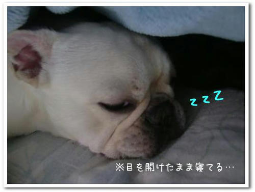 居眠り