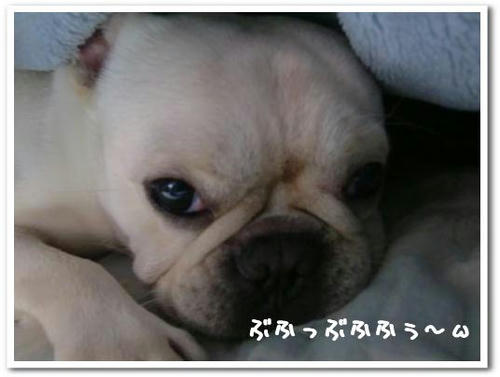 ぬくぬく