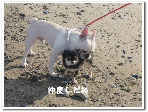 仲良し…に見えるねぇ