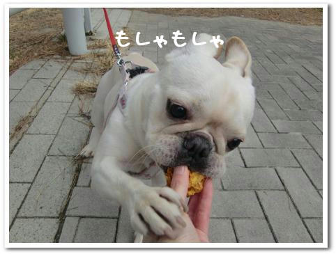 ωとのωの反応は如何に…