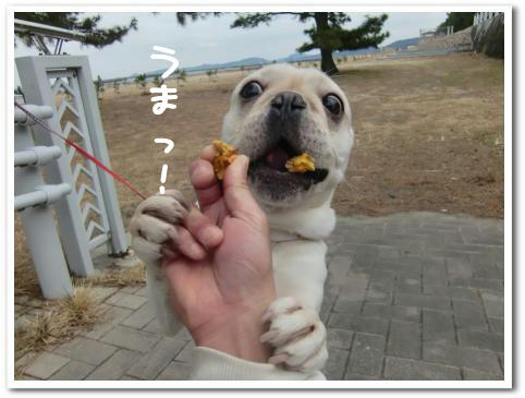 うまかった様子