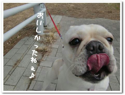 大満足