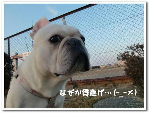 得意げなとの…ムカつきました
