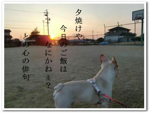 とのの俳句