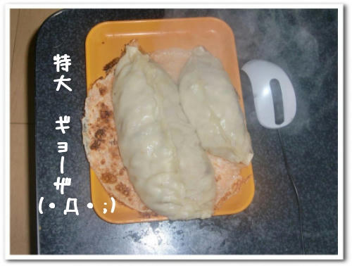 で、でかい…