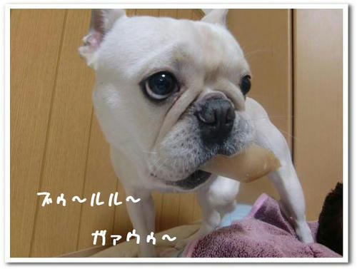 威嚇してるときは怖いんです…