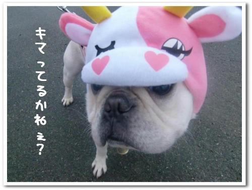 キメてくれました