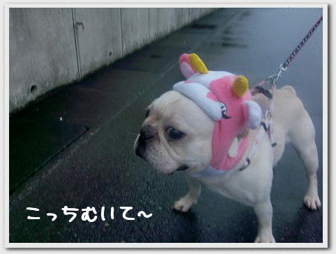 振り向きとの