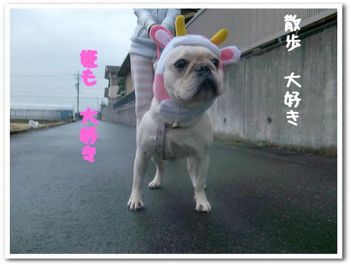 るんるんとの♪