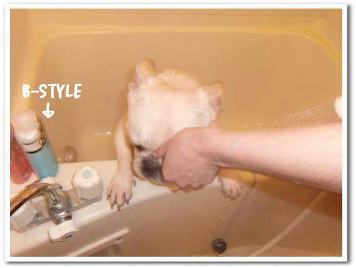 B-style