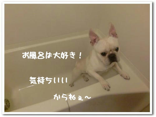 湯、ないやん