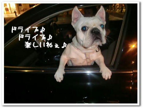 赤目ならぬ青目！