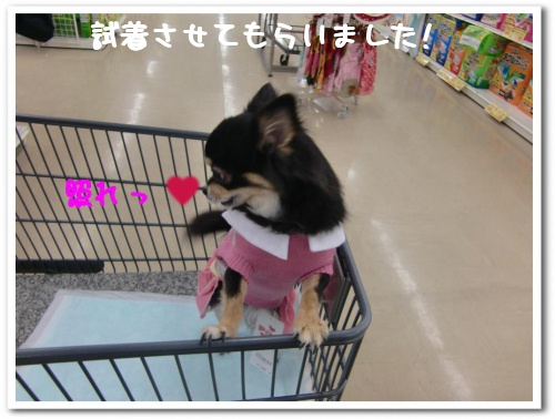 照れる年増４歳