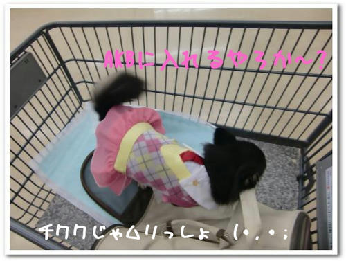 ムリ目な年増もうすぐ５歳