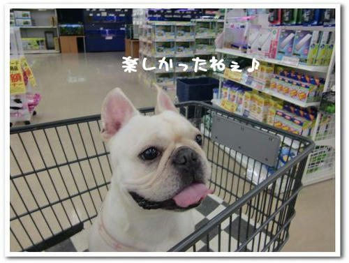 おやつはナシよ