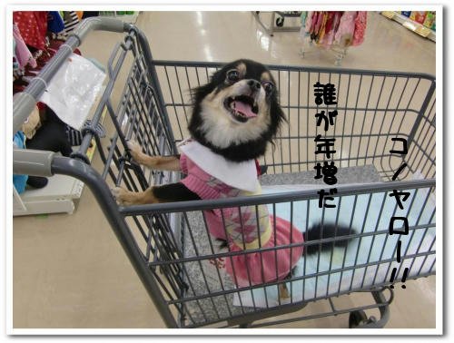 怒れる年増もう5歳