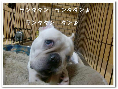 との…だよね？