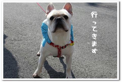 のんきに写真撮ってる場合じゃないでしょ！