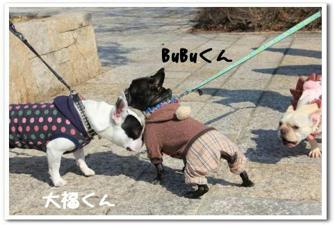 大福くん&BuBuくん