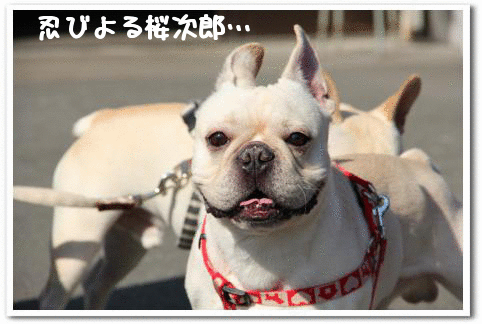 気づかないバカとの