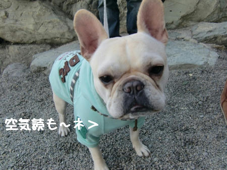 ダサい大人を見る目(・.・;)