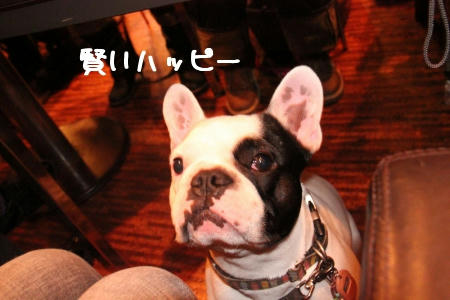 お利口Happy
