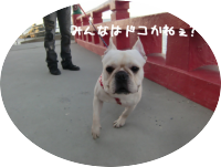 ここをクリック!