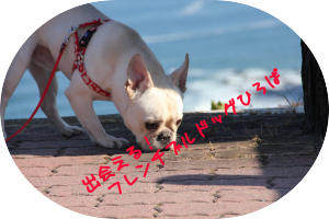 画像をクリックでひろばへ