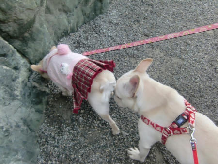 証拠写真
