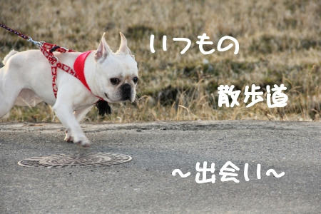 との劇場
