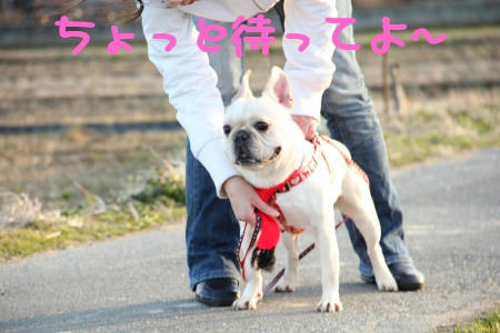 運動不足な女
