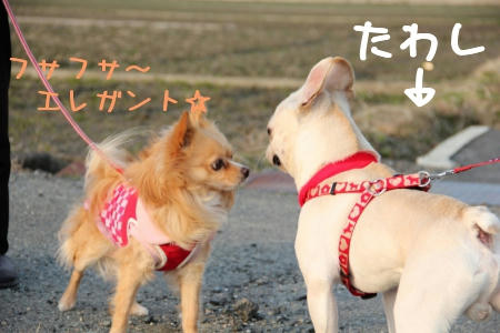身分違いすぎー！