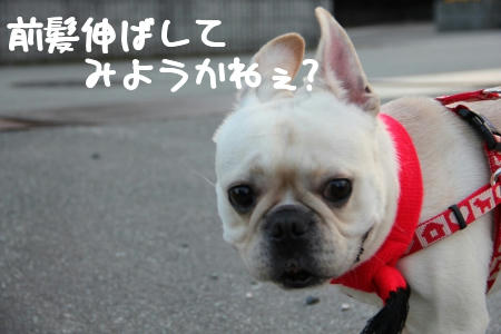 前髪…ない…よ？